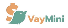 VayMini Logo
